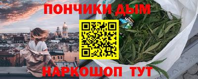 мдпв Бийск