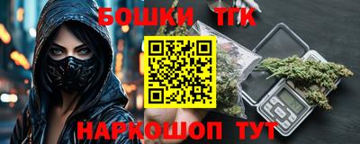 мдпв Бийск