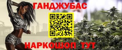 мдпв Бийск