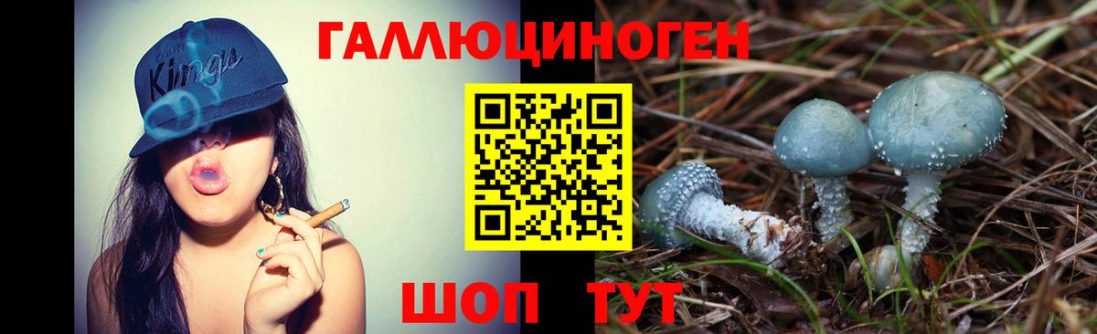 Галлюциногенные грибы MAGIC MUSHROOMS Джанкой